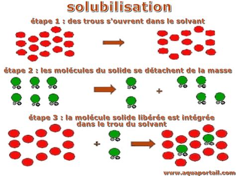 Solubilisatoren 